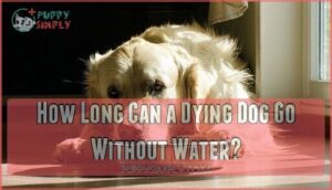 how long can a dying dog go without water