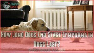 how long does end stage lymphoma in dogs last
