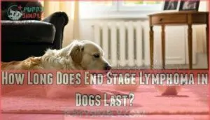 how long does end stage lymphoma in dogs last