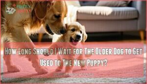 how long should i wait for the older dog to get used to the new puppy