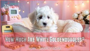 how much are white goldendoodles