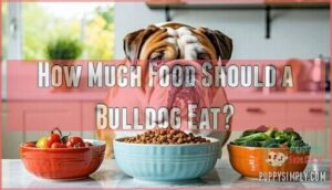 how much food should a bulldog eat