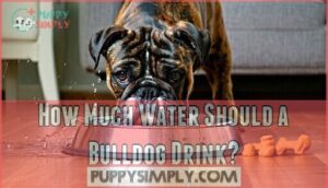 how much water should a bulldog drink