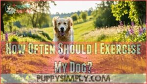 how often should i exercise my dog