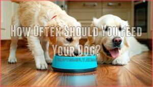 how often should you feed your dog