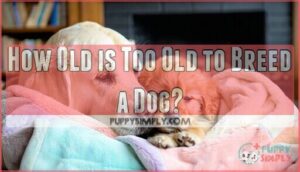 how old is too old to breed a dog