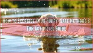 how to exercise your puppy