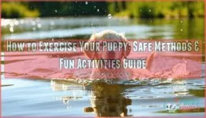 how to exercise your puppy