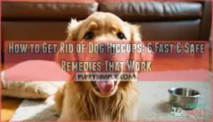 how to get rid of dog hiccups