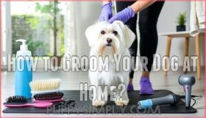 how to groom your dog at home