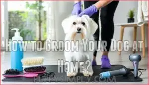 how to groom your dog at home