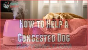 how to help a congested dog