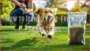 how to identify pet-friendly grass seeds
