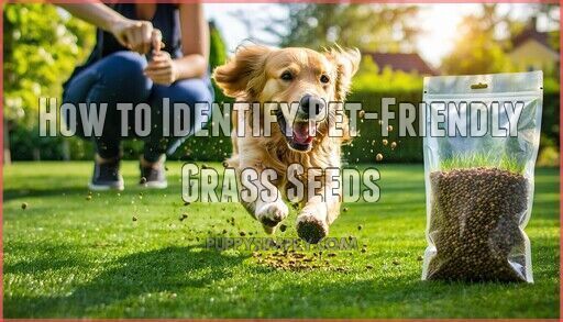 Illustration of Pet Safe Grass For Yard
