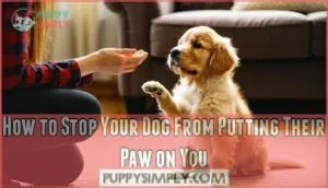 how to stop your dog from putting their paw on you