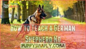 how to teach a german shepherd no