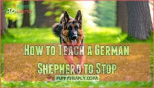 how to teach a german shepherd to stop