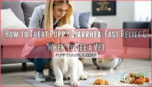 how to treat puppy diarrhea