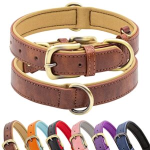 HSIGIO Soft Padded Leather Dog B0C32SMXPS