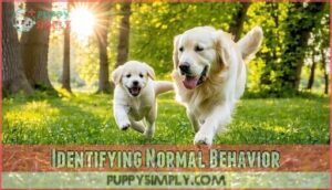 identifying normal behavior