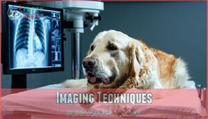 imaging techniques
