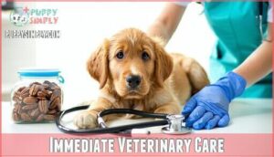 immediate veterinary care