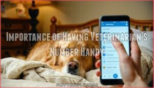 importance of having veterinarian's number handy
