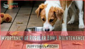 importance of regular bowl maintenance