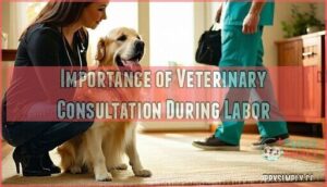 importance of veterinary consultation during labor