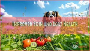 improved skin and coat health