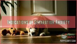 indications of separation anxiety