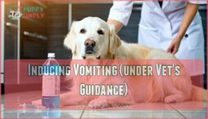 inducing vomiting (under vet's guidance)