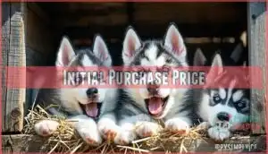 initial purchase price
