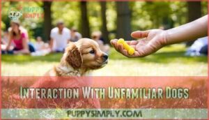 interaction with unfamiliar dogs