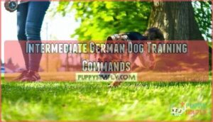 intermediate german dog training commands