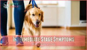 intermediate stage symptoms