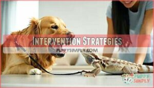 intervention strategies