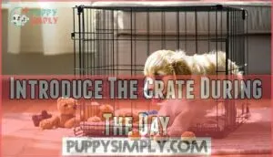 introduce the crate during the day