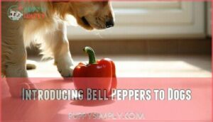 introducing bell peppers to dogs