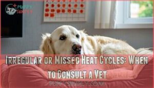 irregular or missed heat cycles: when to consult a vet
