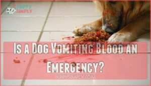 is a dog vomiting blood an emergency