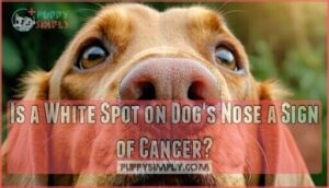 is a white spot on dog's nose a sign of cancer