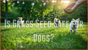is grass seed safe for dogs