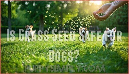 Is Grass Seeds Safe For Dogs