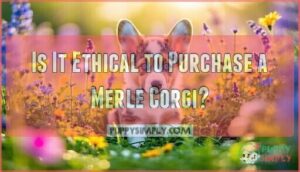 is it ethical to purchase a merle corgi