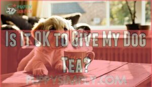 is it ok to give my dog tea