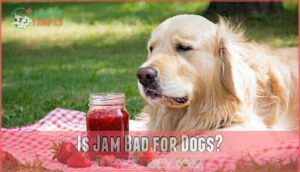 is jam bad for dogs