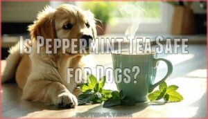 is peppermint tea safe for dogs