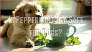 is peppermint tea safe for dogs is peppermint tea safe for dogs