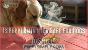 is peppermint tea safe for dogs to smell